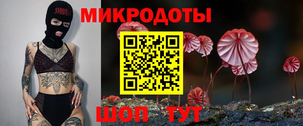 Псилоцибиновые грибы Psilocybine cubensis  Галлюциногенные грибы Cubensis  Заводоуковск  Вход с VPN 